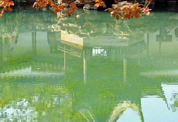 网师园第 92 张图片