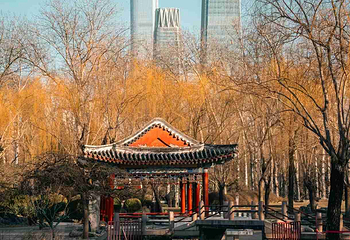 日坛公园第 16 张图片