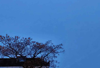 朱家角古镇景区第 179 张图片