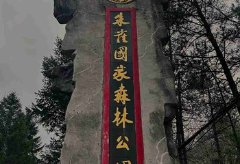 朱雀国家森林公园第 45 张图片