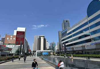深圳罗湖口岸第 28 张图片