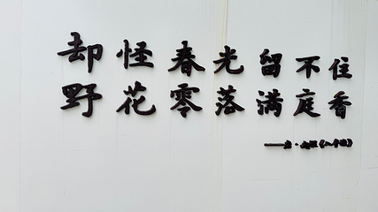 山塘街第 169 张图片
