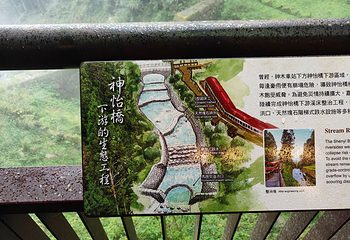 阿里山国家风景区第 47 张图片