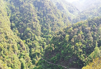 牛头山国家森林公园第 32 张图片