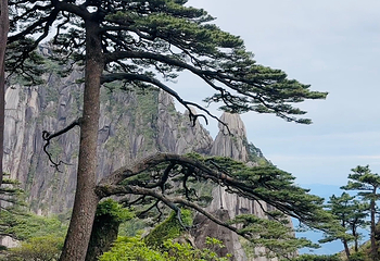 黄山风景区第 243 张图片