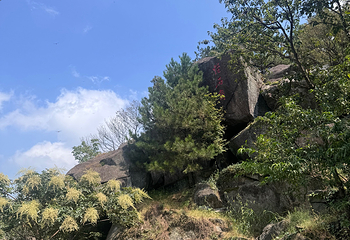 莫干山风景名胜区第 102 张图片