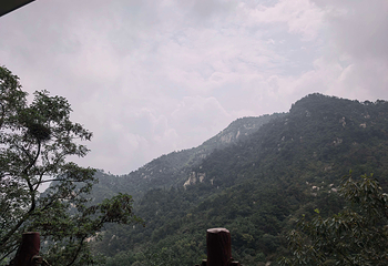 沂蒙山云蒙景区(蒙山国家森林公园)第 58 张图片