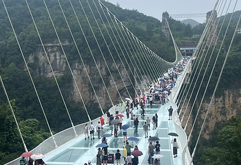 张家界大峡谷第 144 张图片