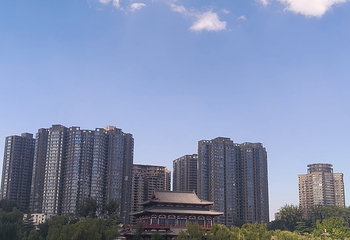 兴庆宫公园第 160 张图片