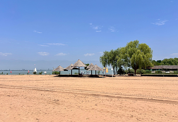 沙湖生态旅游区第 99 张图片