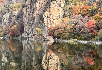 关门山国家森林公园第 46 张图片
