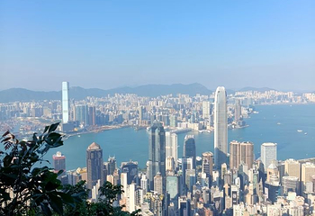 太平山顶第 207 张图片