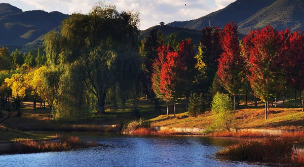 湾木·人济庄园露营地
