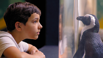 莱利大烟山水族馆