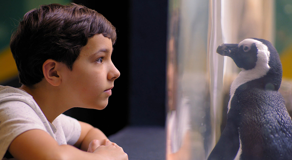 莱利大烟山水族馆