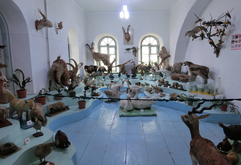 Karakol Historical Museum第 9 张图片