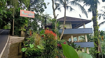 巴厘岛丛林秋千