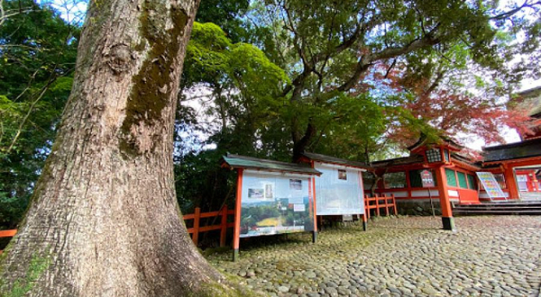 宇佐神宫 西大门