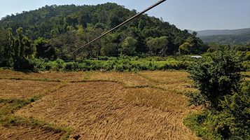 MAE WANG ZIPLINE ADVENTURE แม่วางซิปไลน์แอดเวนเจอร์