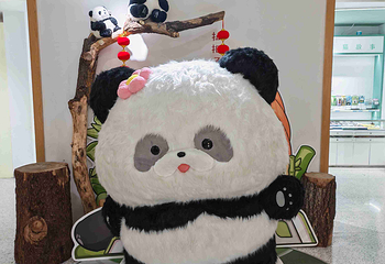 成都大熊猫繁育研究基地第 67 张图片