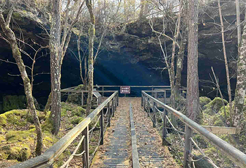火山口国家森林公园第 20 张图片
