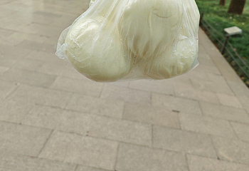 西园寺素食(西园弄戒幢律寺店)第 64 张图片