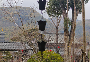 溪口-滕头旅游景区第 75 张图片