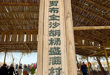 罗布人村寨第 49 张图片