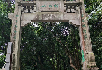 广东梧桐山国家森林公园第 10 张图片