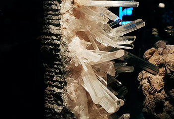 青藏高原自然博物馆第 19 张图片