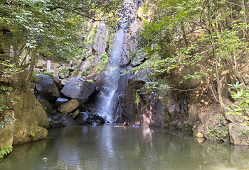 莫干山风景名胜区第 87 张图片