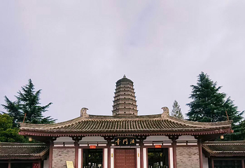 法门文化景区第 49 张图片