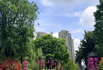 铁像寺水街第 24 张图片