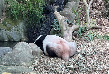 河川生态园第 107 张图片