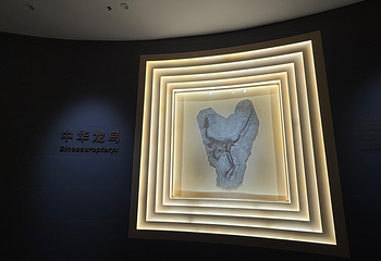 辽宁朝阳鸟化石国家地质公园第 85 张图片