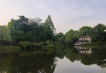 玄武湖景区第 125 张图片