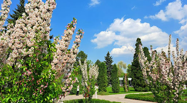 Botanical Garden, fish pond
