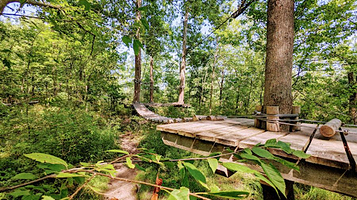 Treetop Trekking Hamilton