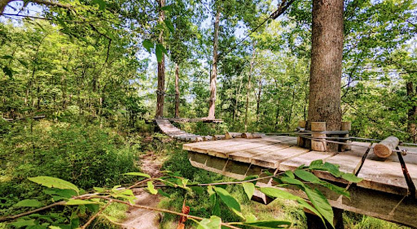 Treetop Trekking Hamilton