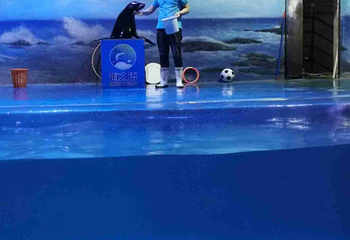 海之语海洋世界第 51 张图片