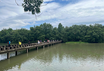 缙云仙都景区第 44 张图片