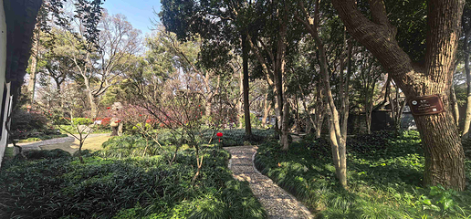 绮园景区第 71 张图片
