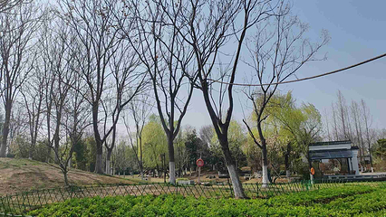 武汉园博园(武汉自然博物馆)第 177 张图片
