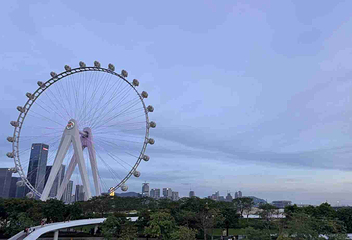 欢乐港湾第 18 张图片