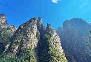 黄山风景区第 342 张图片