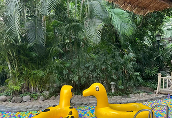 龙熙温泉水世界第 17 张图片