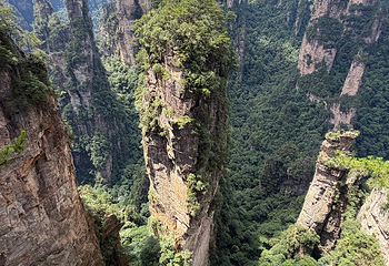 天门山国家森林公园第 392 张图片