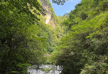 张家界大峡谷第 107 张图片