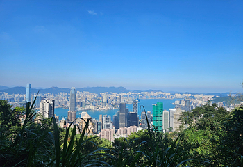 太平山顶第 73 张图片