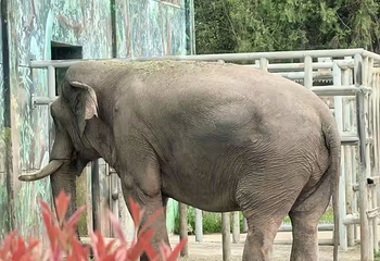 西安秦岭野生动物园第 96 张图片